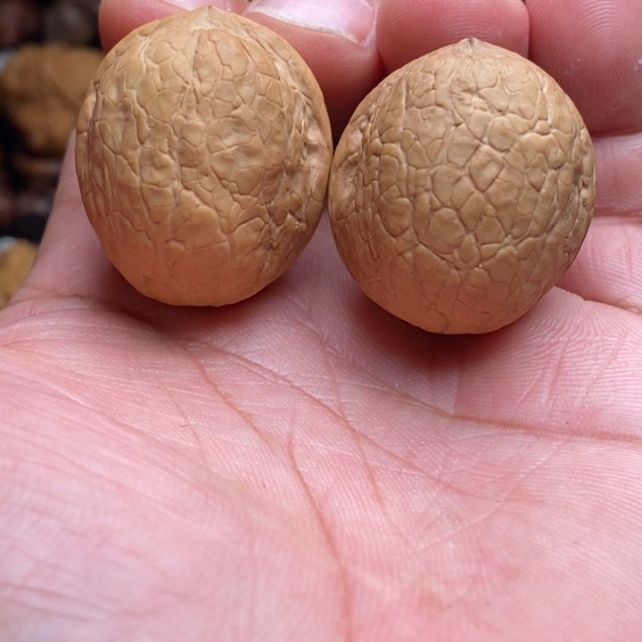 把件桃核1福利蛇皮球