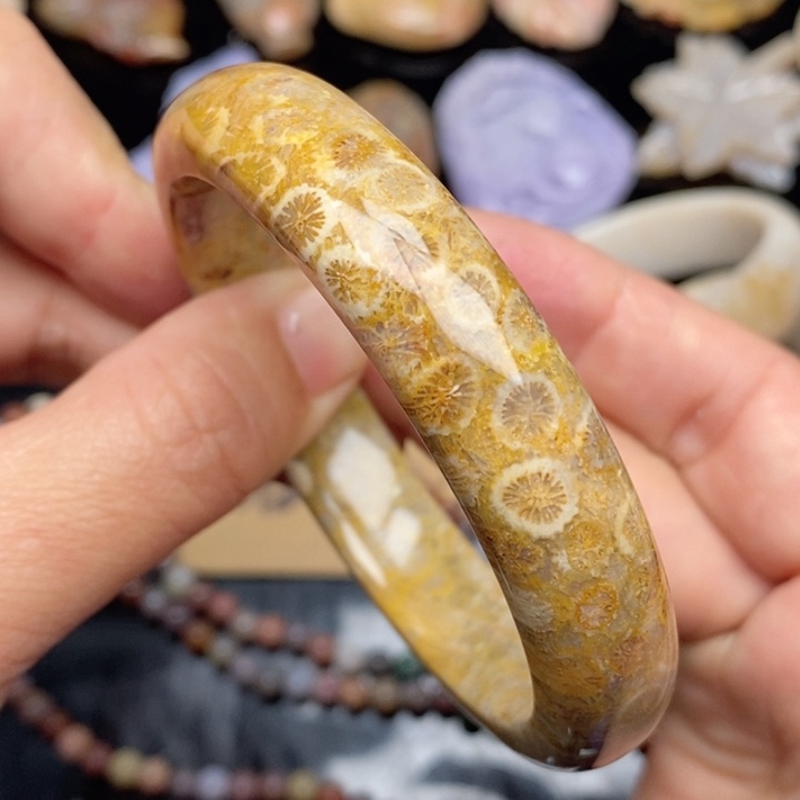 硅化珊瑚（珊瑚玉）颈饰未镶嵌58.4