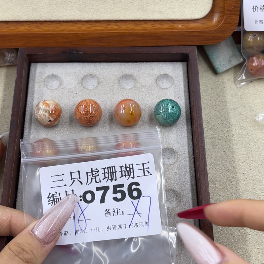 ***硅化珊瑚（珊瑚玉）h未镶嵌