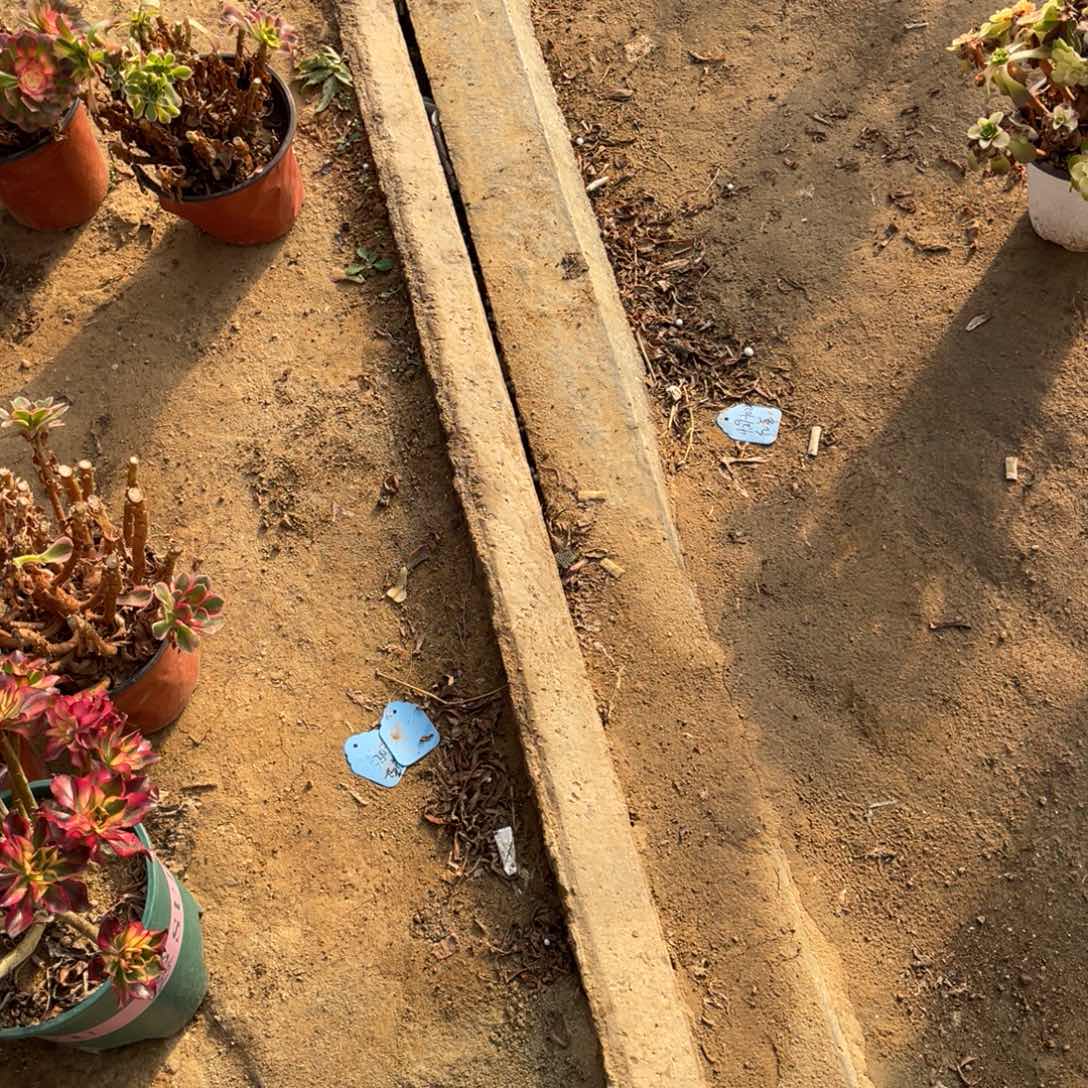 嗯***～12-9-17魅影法师锦寄养