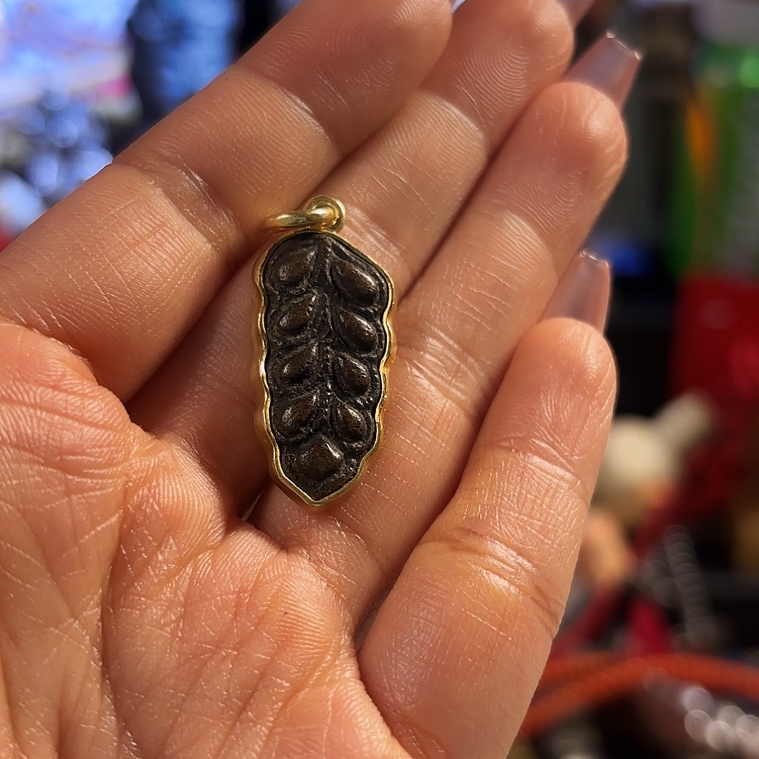 好好好好好好好好好看