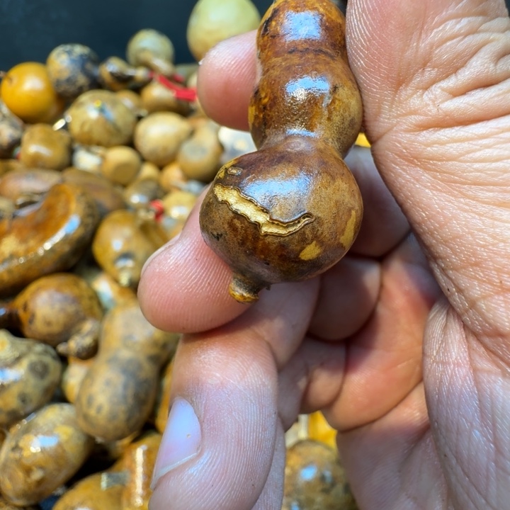 米***果嘎嘎嘎嘎嘎嘎嘎嘎