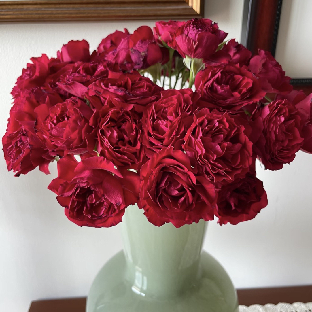 【石榴裙玫瑰10支】（10%不售后）