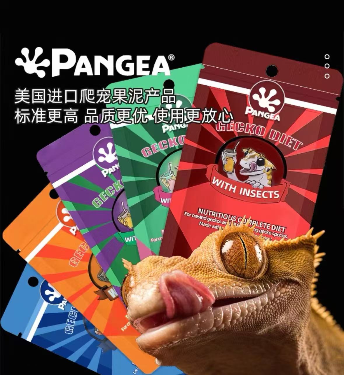 盘古pangea果泥守宫昆虫水果r属专用饲料