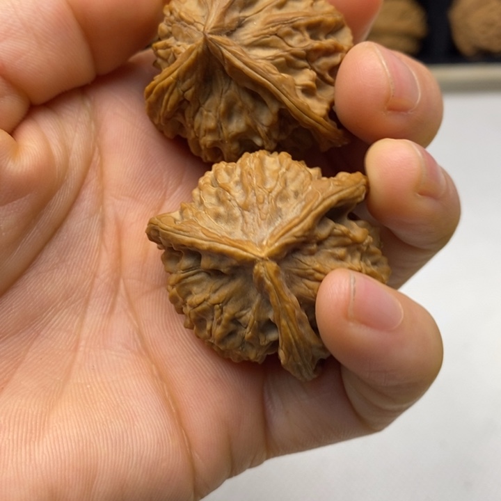 无花朵爆单爆单哈哈哈