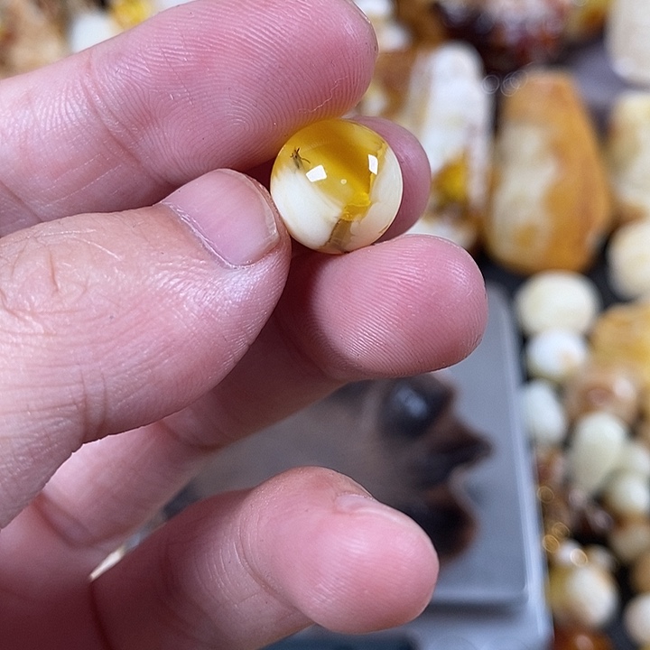 琥珀未镶嵌裸石我