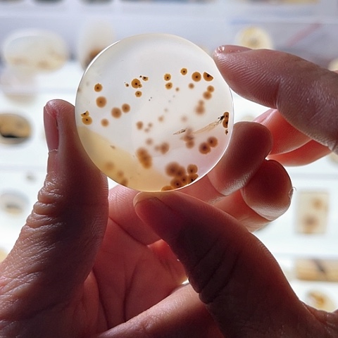 【闪购商品】玛瑙/玉髓珠宝半成品未镶嵌