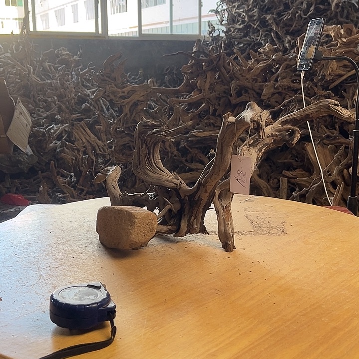 木502525 鱼缸造景根雕艺术168