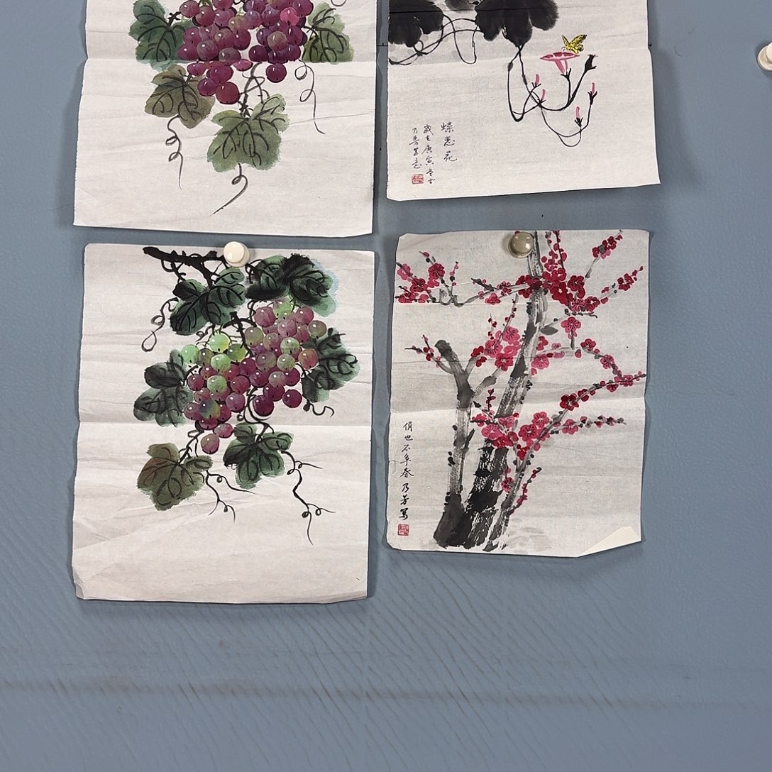 国画557 牡丹一如你初