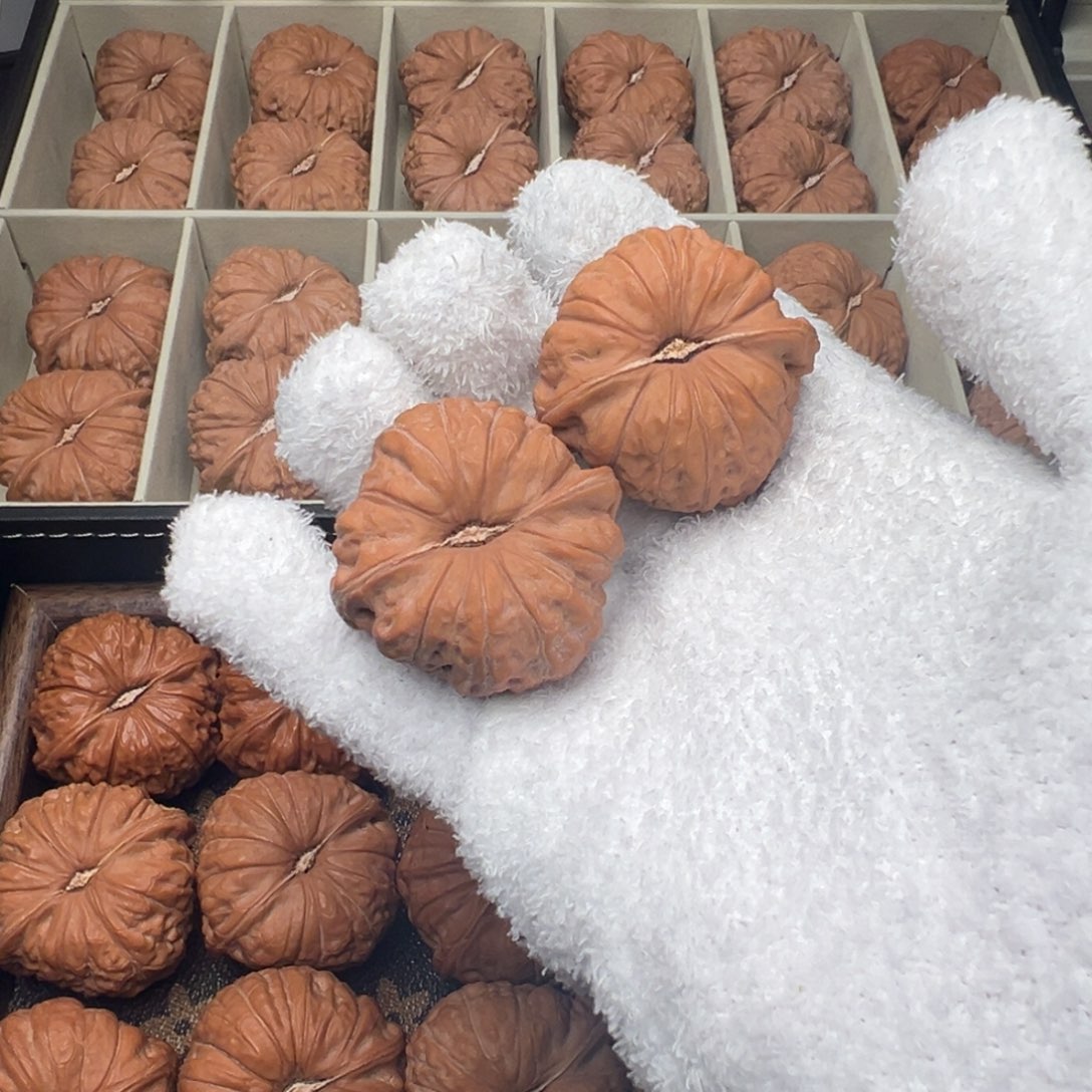 周****046-1107南瓜墩42