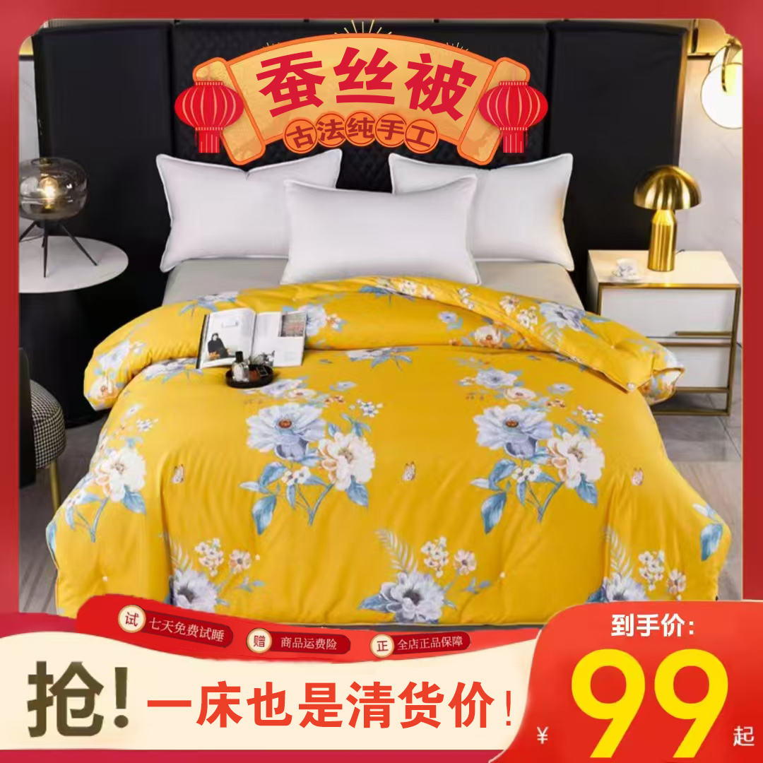 高档蚕丝古法纯手工双宫茧桑蚕丝春秋被加厚冬被四季被空调被