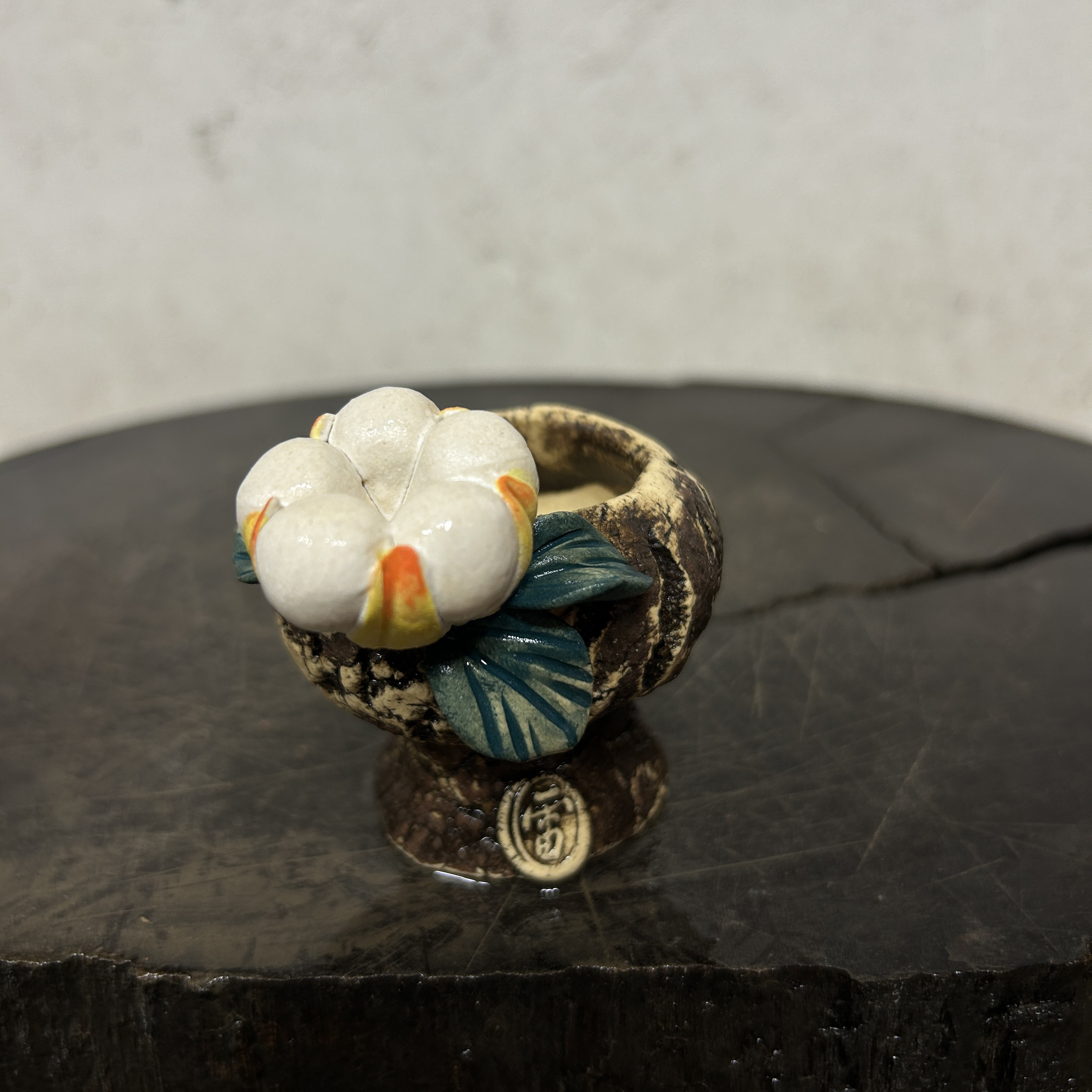 雨田花器 小拇指 肉锥 生石花 屁屁 迷你号手捏异型粗陶多肉盆