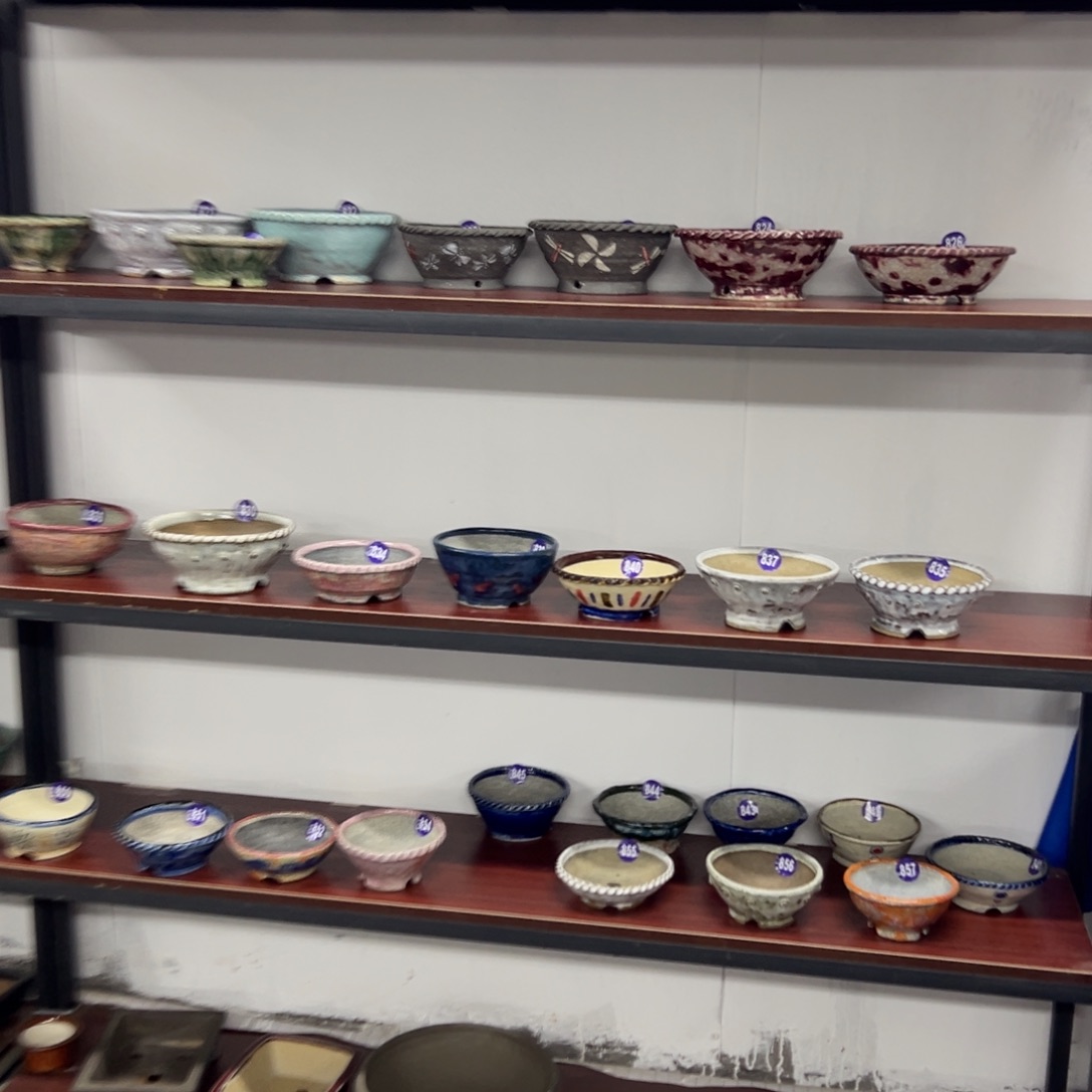 红陶红红火火过大年