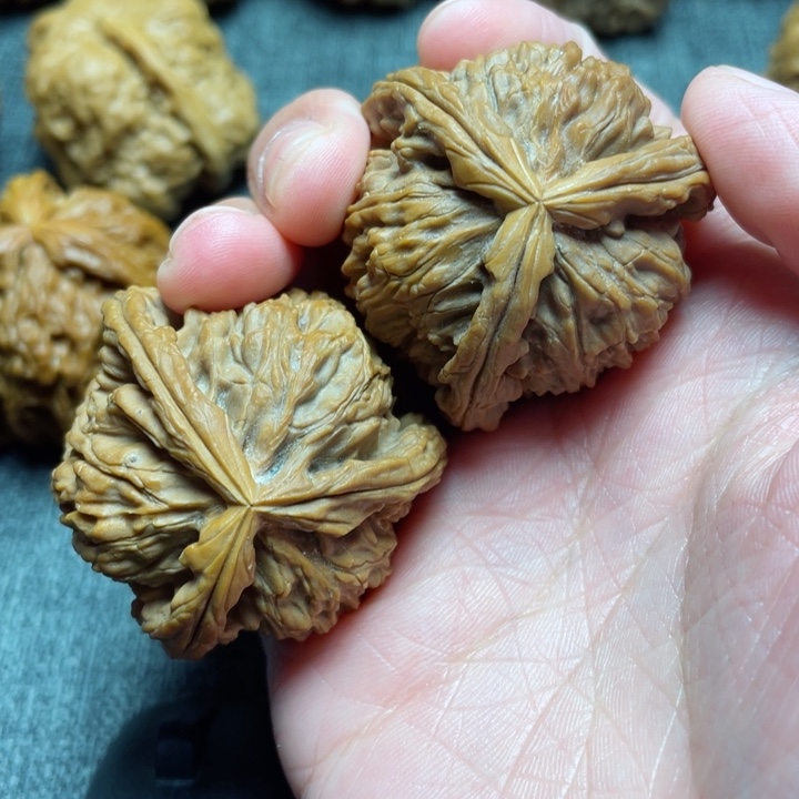 工艺三棱白狮子三棱