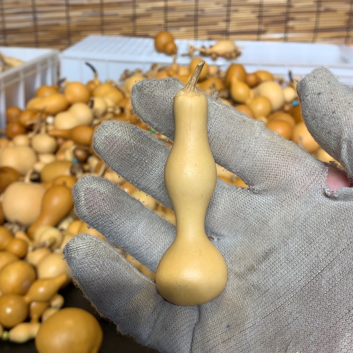 八宝豆和虾等食材混合搅拌即熟的