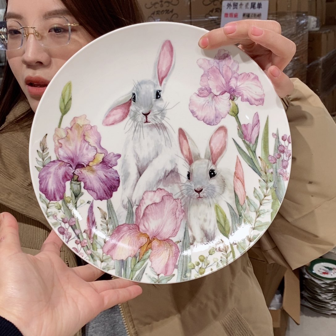 瓷骨瓷十英寸25cm大盘一只外贸尾单