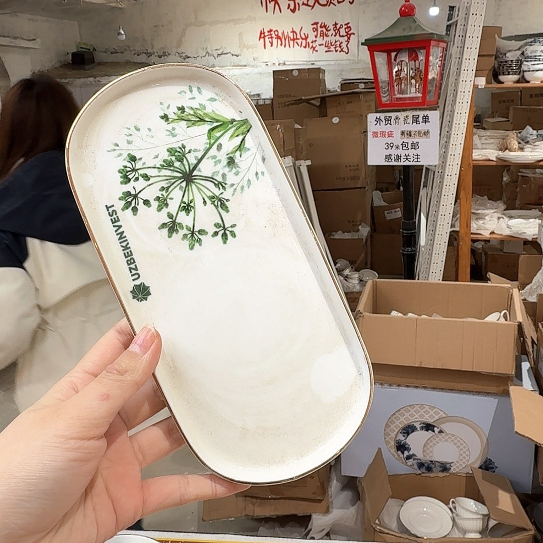 瓷21cm长条盘外贸尾单2只