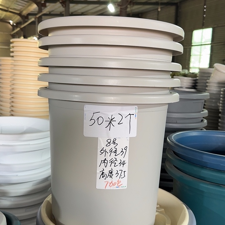 微瑕8#灰白5个无托