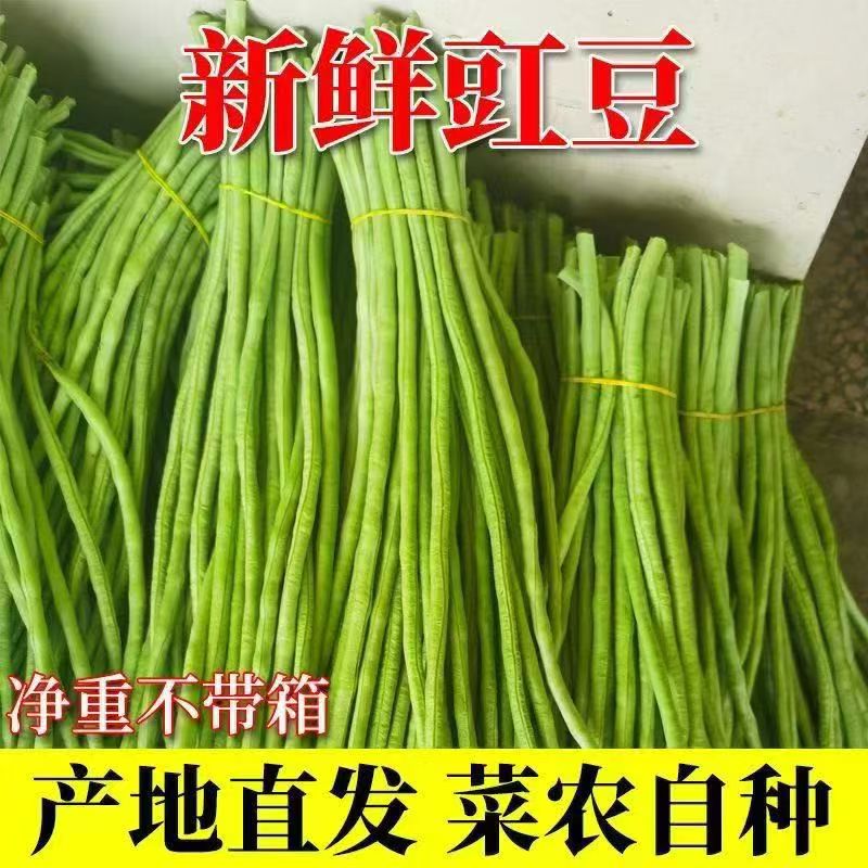 新鲜豇豆农家自种长豆角现摘现发包邮