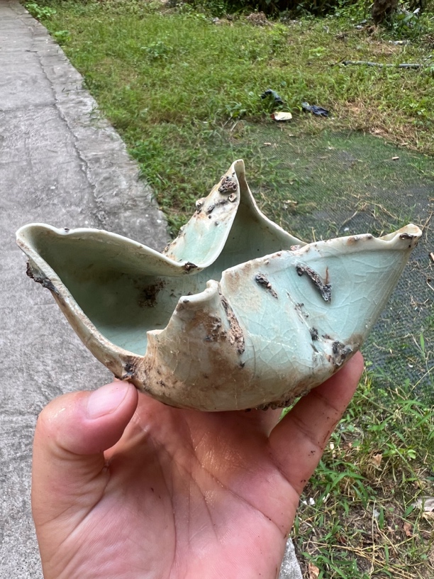 豆青釉大海碗，变形艺术美