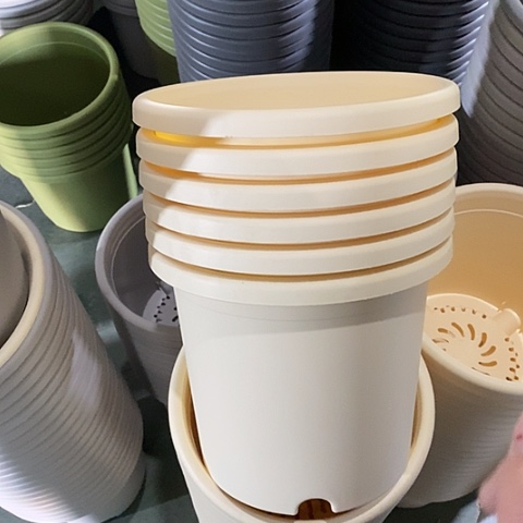 树脂四季4号6个无托米黄