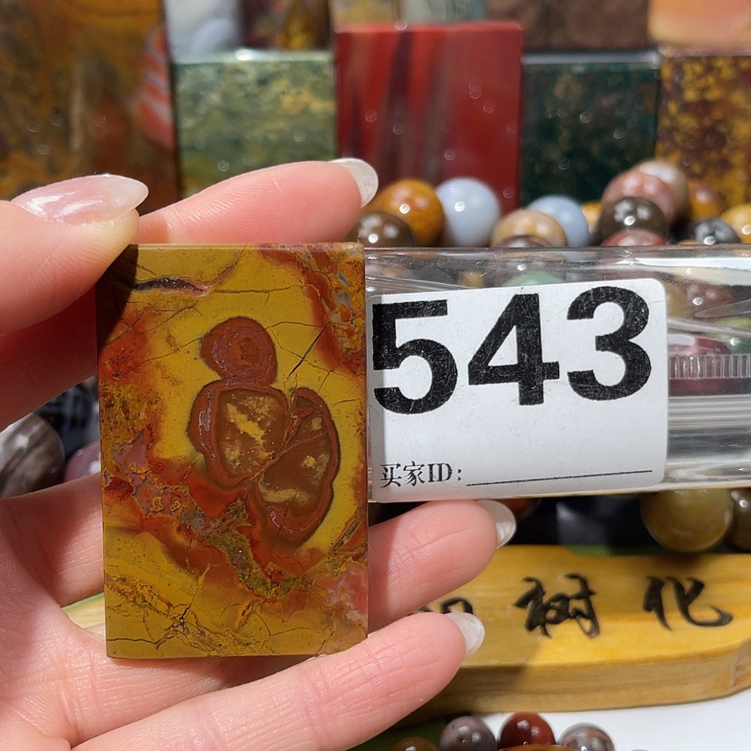 硅化玉未镶嵌天然北票硅化玉吊坠