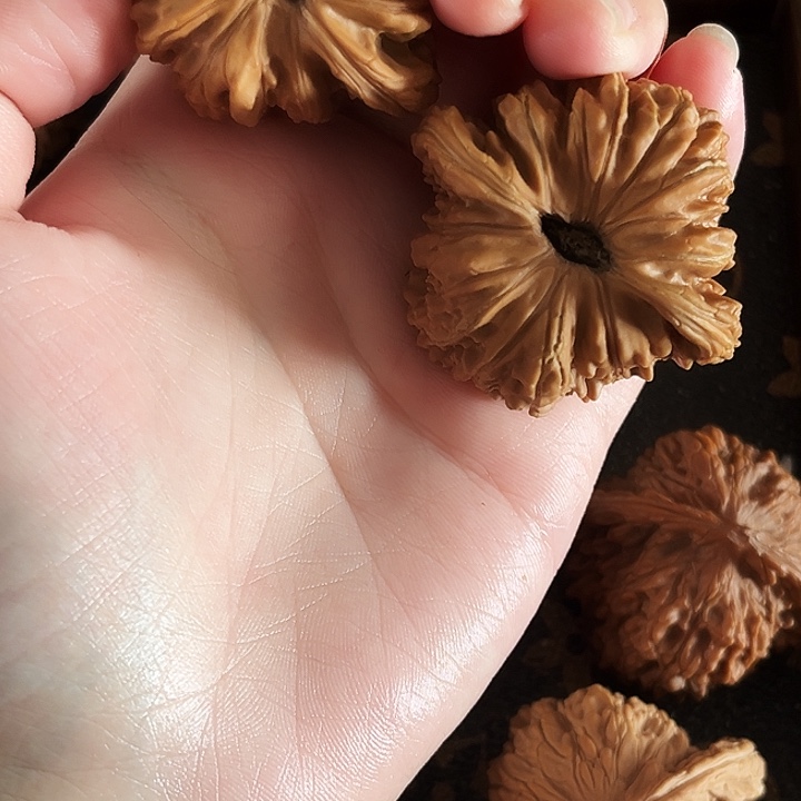 宋***庭文玩核桃吊坠四座楼