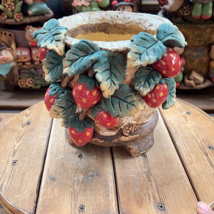 嘻哈多肉花盆百搭