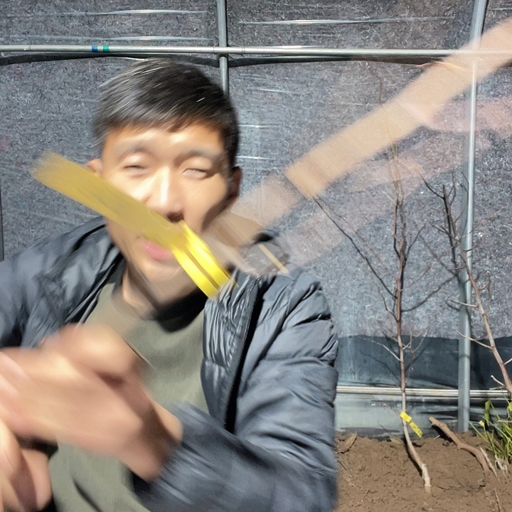 天***雨无花朵蜜罐一物一拍树枝