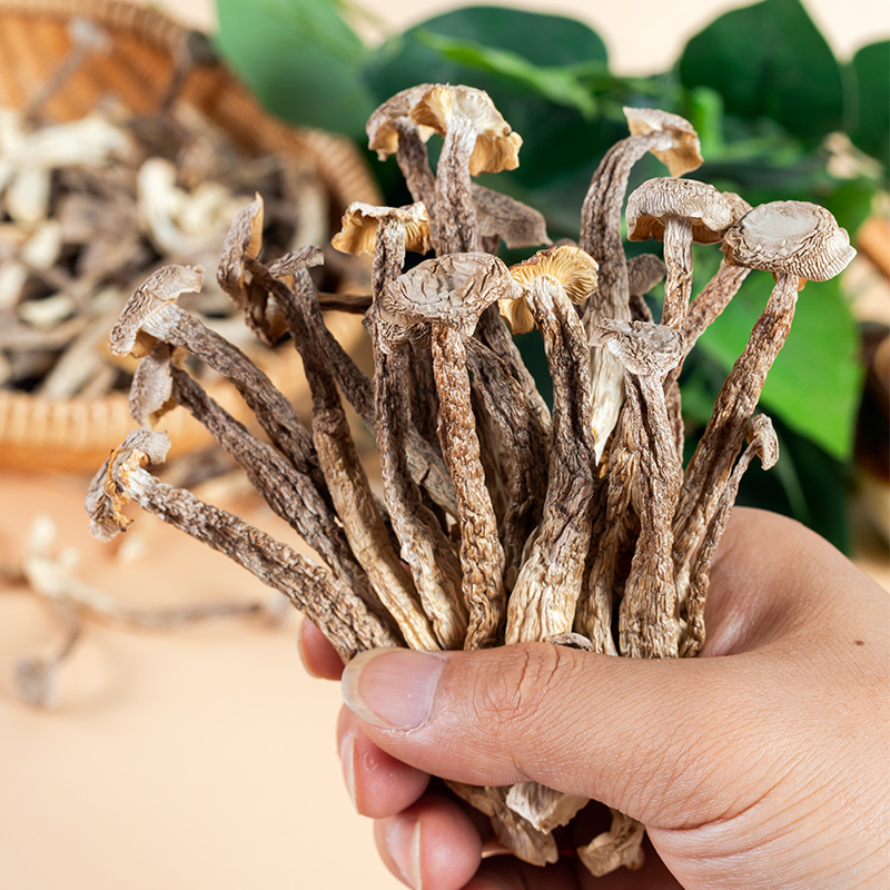 【 精选鹿茸菇】鹿茸菇干货新货农家自晒虫草煲汤炖汤菌菇干货