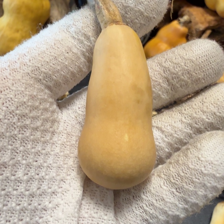 @***二666666666666666666