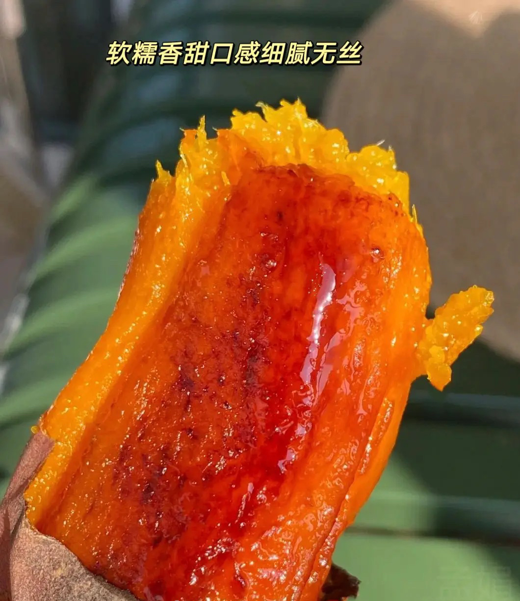 【软糯香甜 无丝无茎】大果9斤【5-9两】