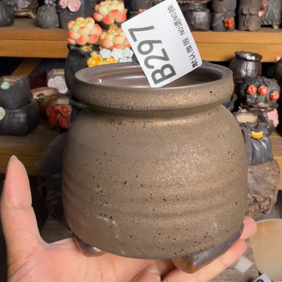 重庆小燕子欢迎大家297