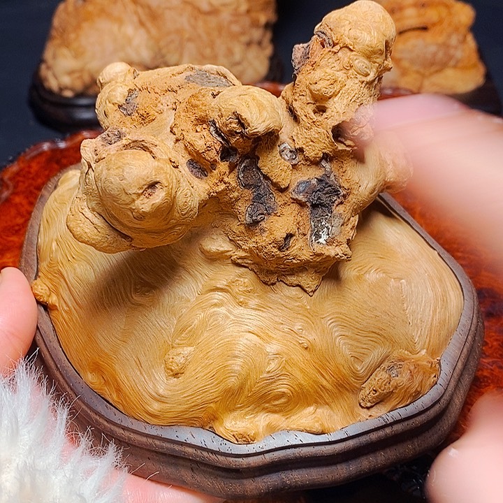 荔枝木荔枝木荔枝木