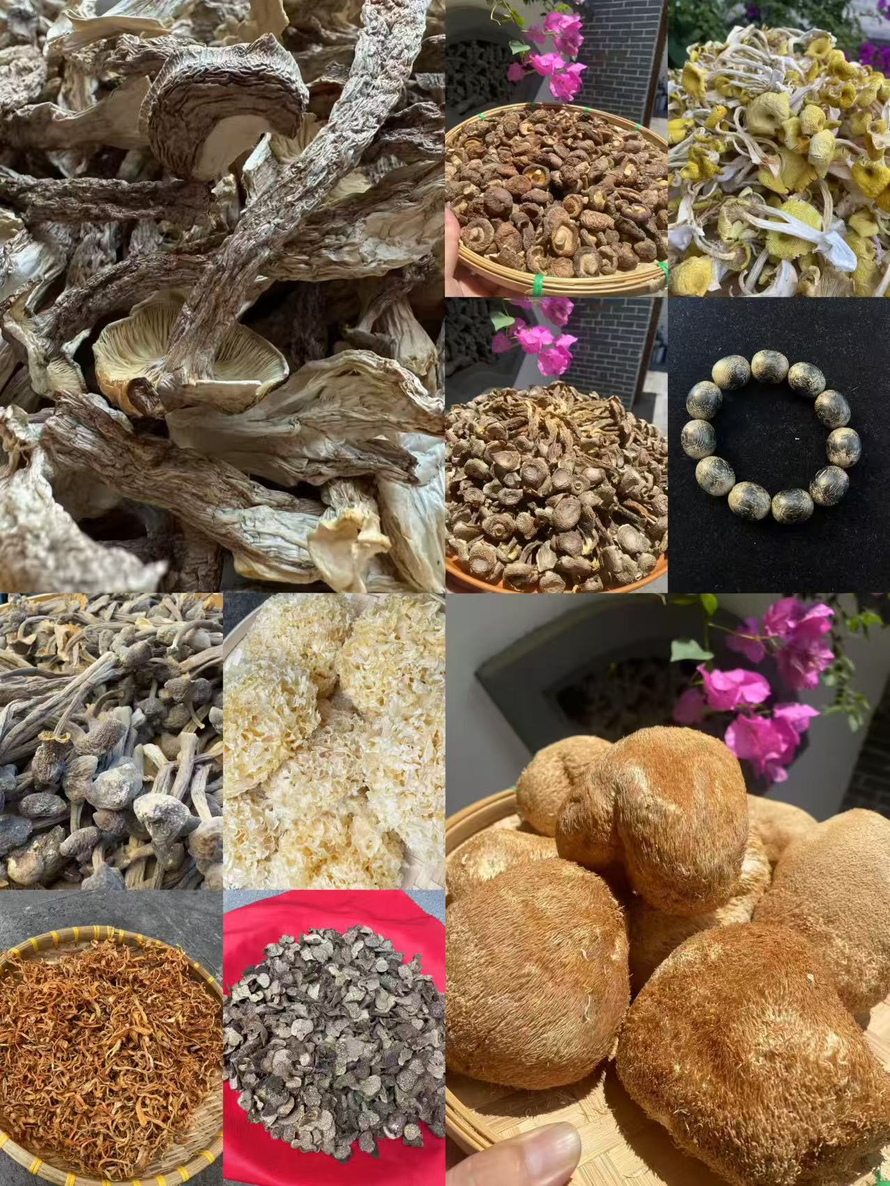 （文总专用土特产）XJ03多样性发货 重量45克左右