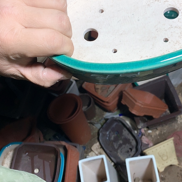 紫砂哈哈真的是太给力太