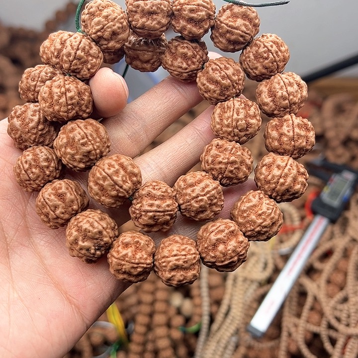 金刚菩提手串元*帝王花