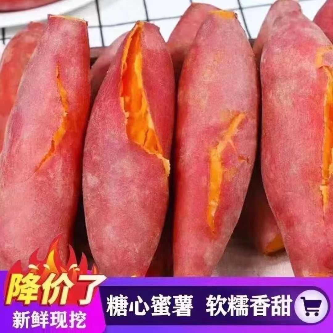 新鲜现挖农家红薯西瓜红蜜薯糖心板栗软糯香甜现挖现发番薯