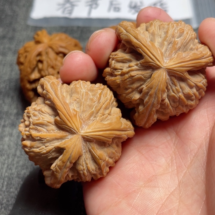 工艺三棱白狮子三棱