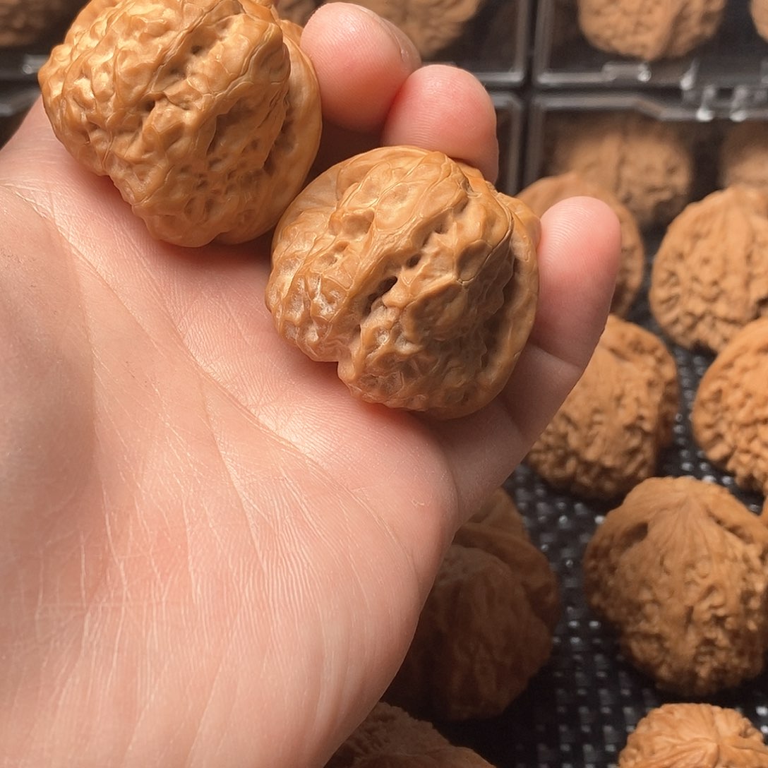 核桃手串/手链蛤蟆头尺寸39