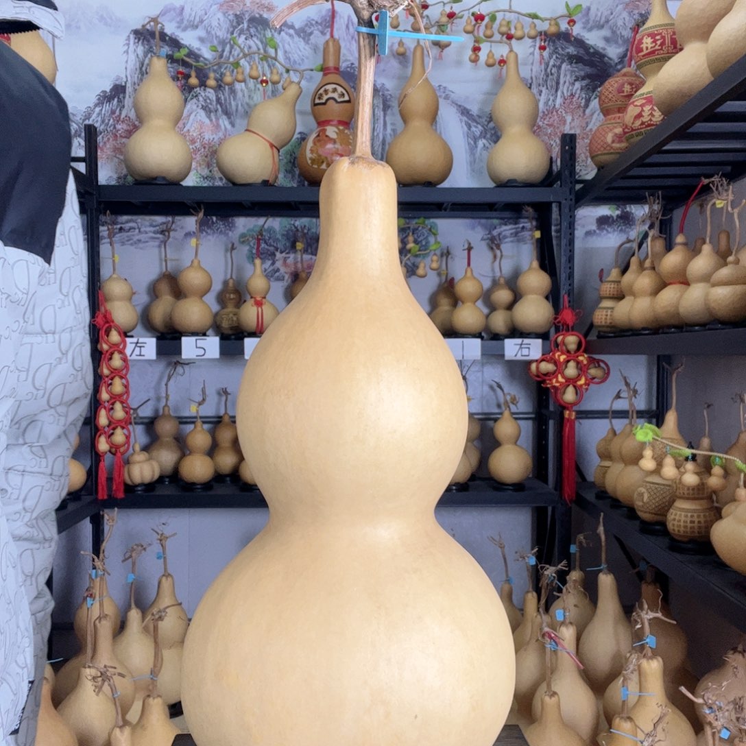 大**水葫芦葫芦葫芦葫芦葫芦葫芦