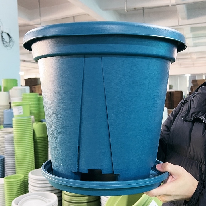 正品青山口40高34蓝色带托5只