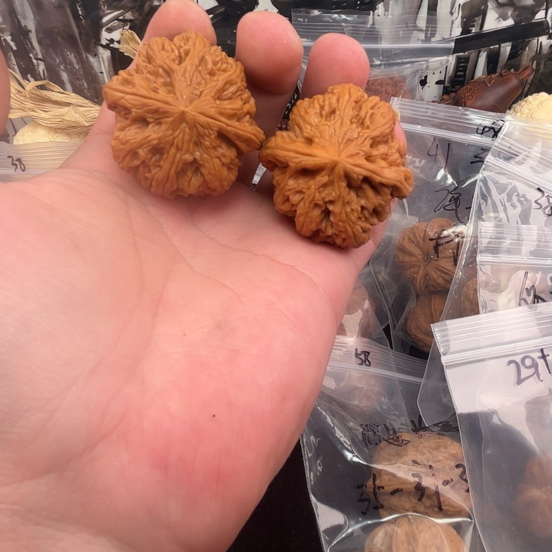 核桃大粗筋核桃43+