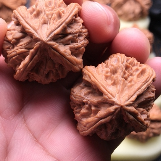 文玩核桃把件虎**威玉玺四棱