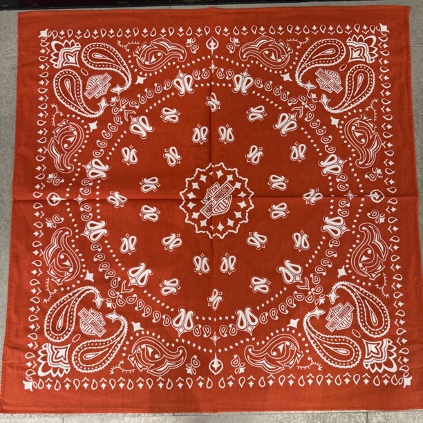 哈雷戴维森大方巾-97699-22VX