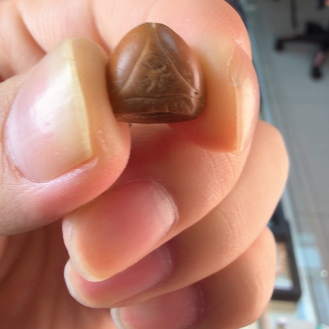 t***丶凤眼菩提吊坠3028