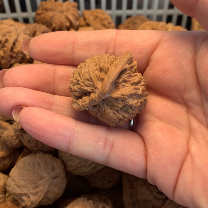 忠***渝吊坠文玩核桃核桃……