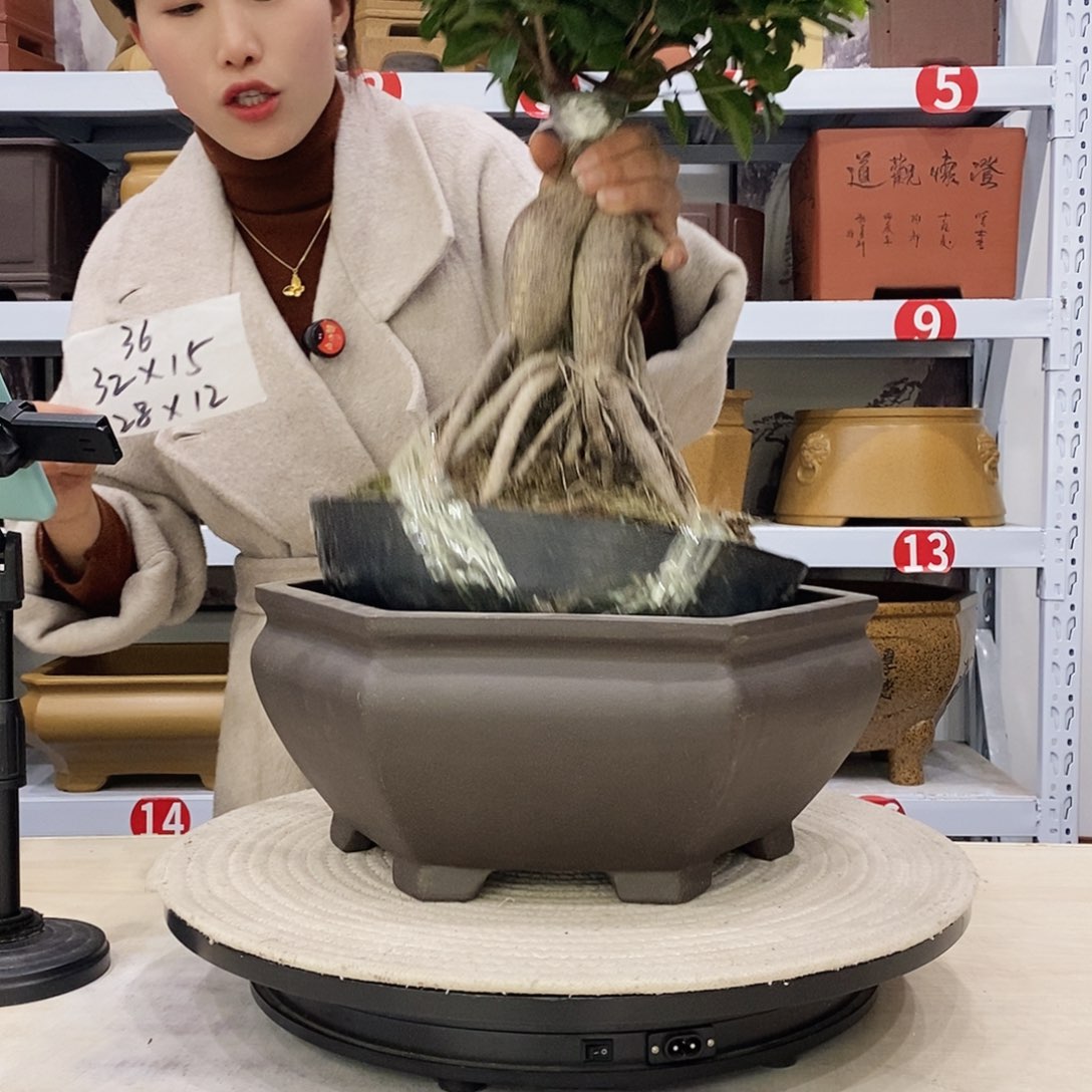 紫砂花盆紫砂花盆