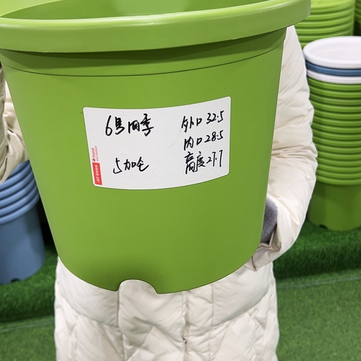 特价6号四季口32高28白色无托4只