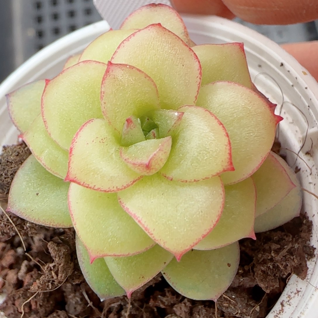 绥*【闪购商品】0224-107（xx-80）